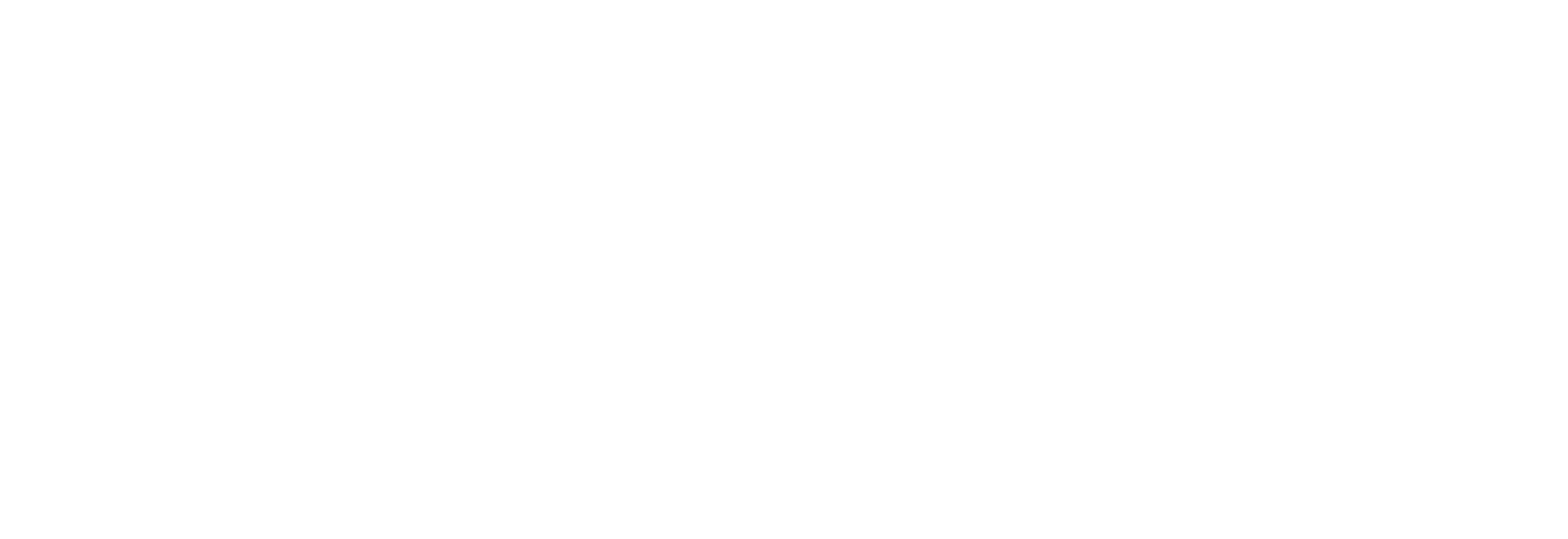 Sportix Logo